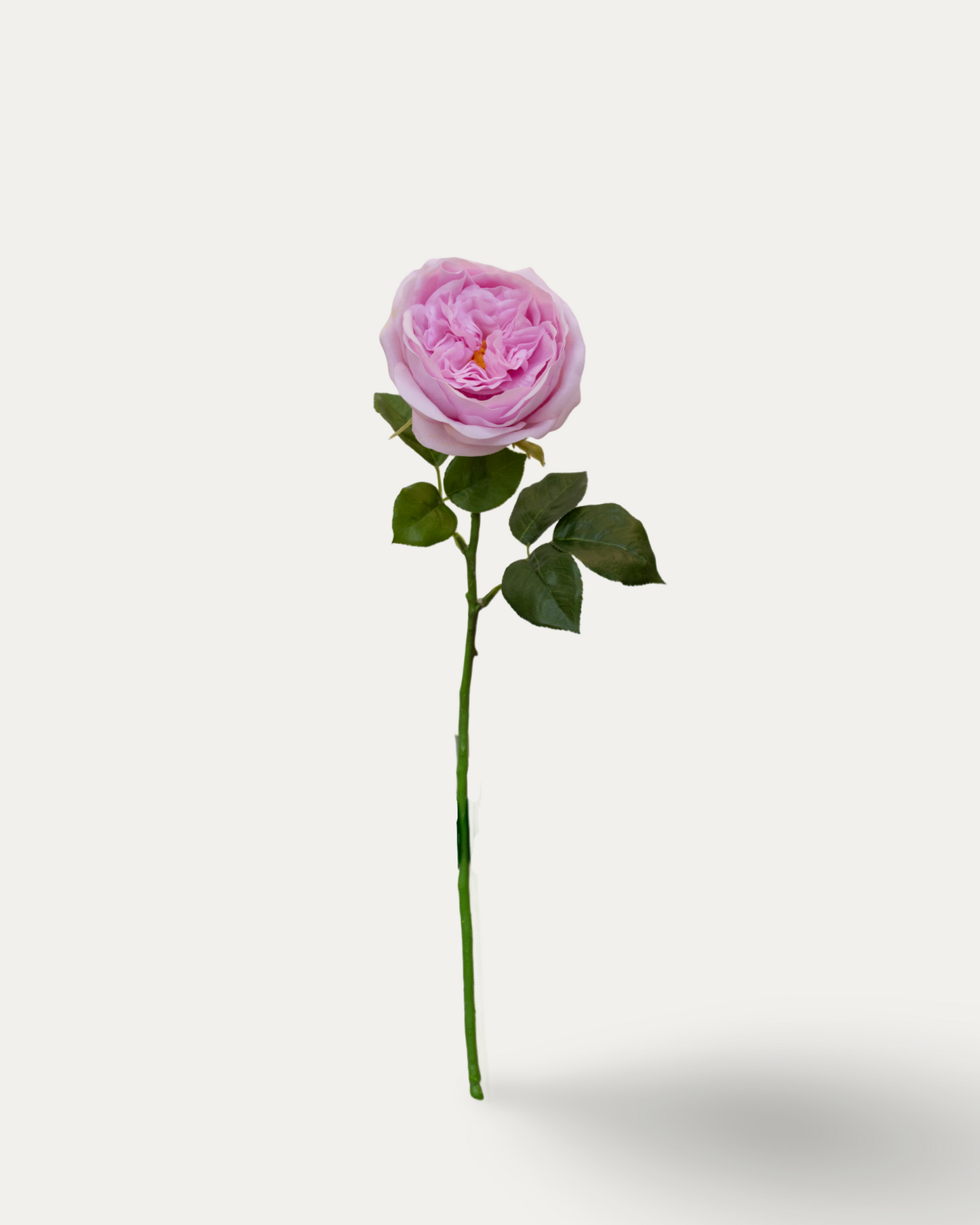 Carey Garden Rose -Artificial Real Touch