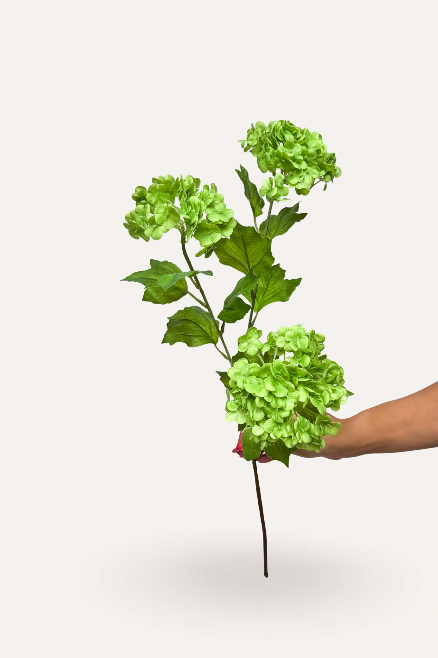 Green Snowball Hydrangea -Artificial Real Touch