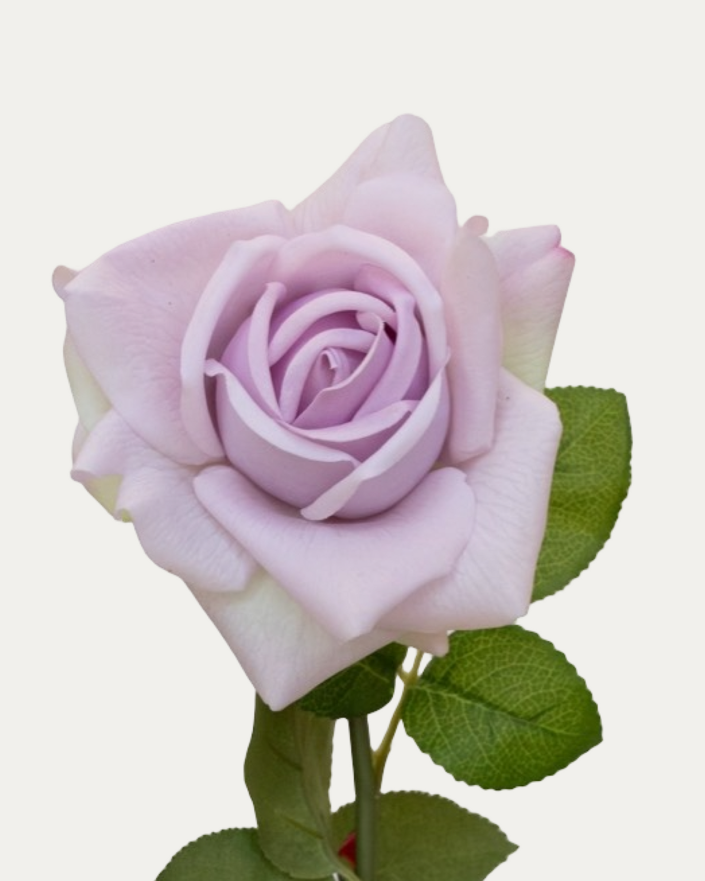 Ocean Song Rose -Artificial Real Touch