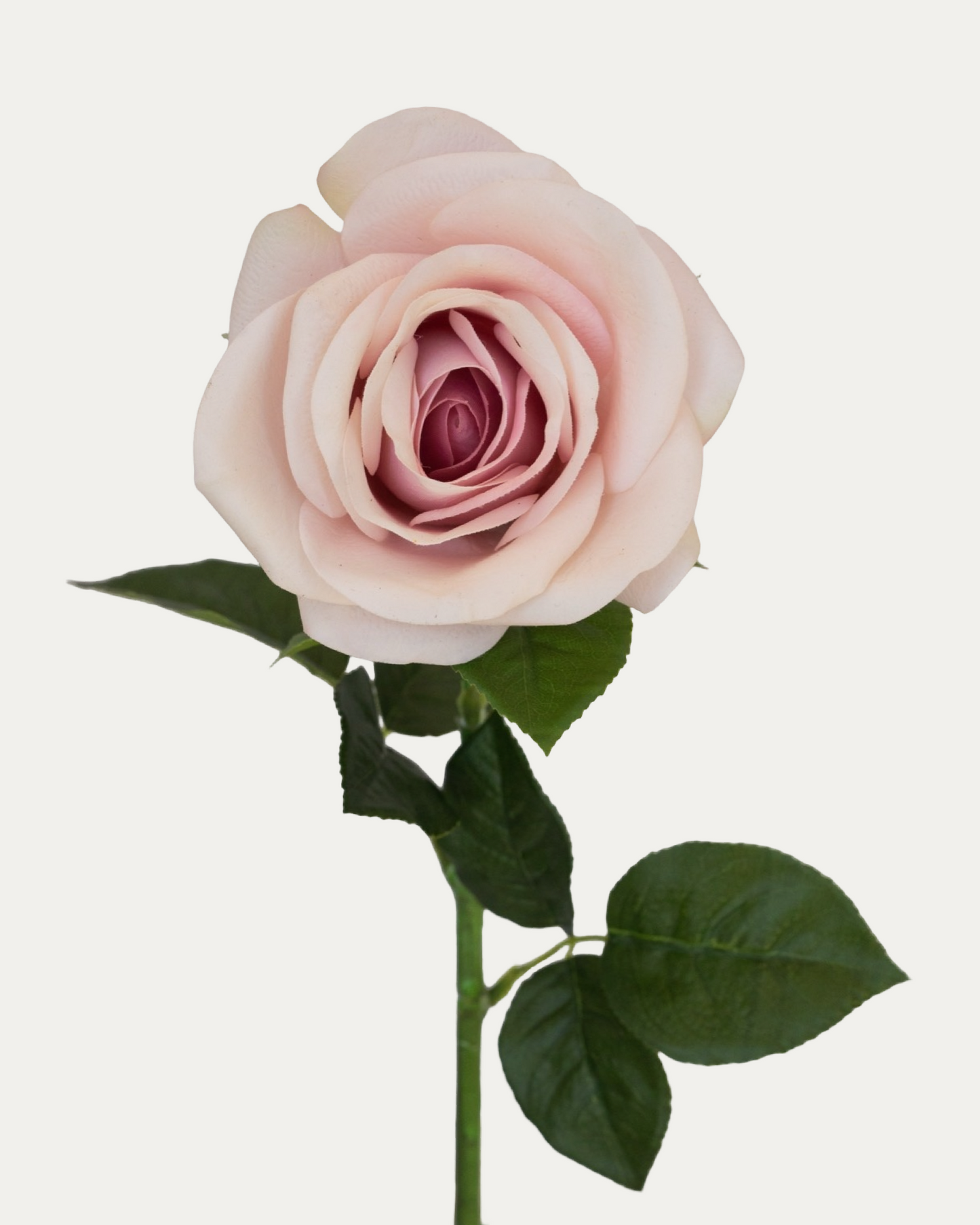 Sweet Akito Rose -Artificial Real Touch