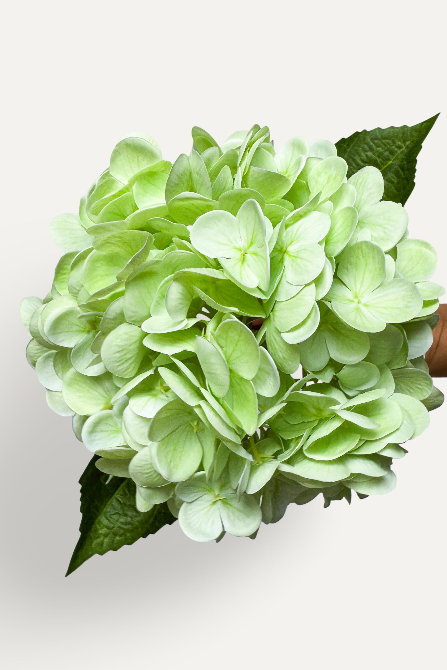 Green Hydrangea -Artificial Real Touch
