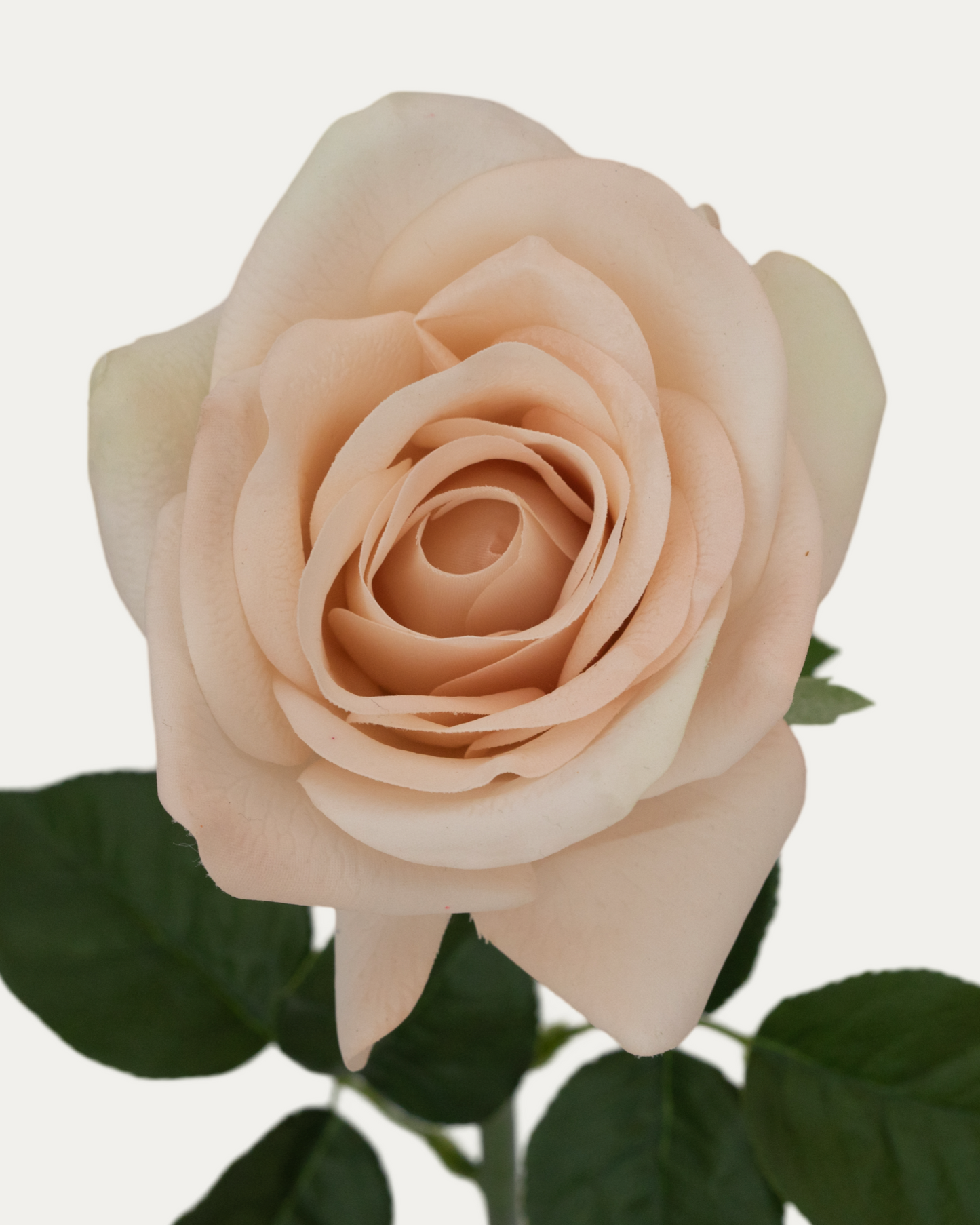Sahara Rose -Artificial Real Touch