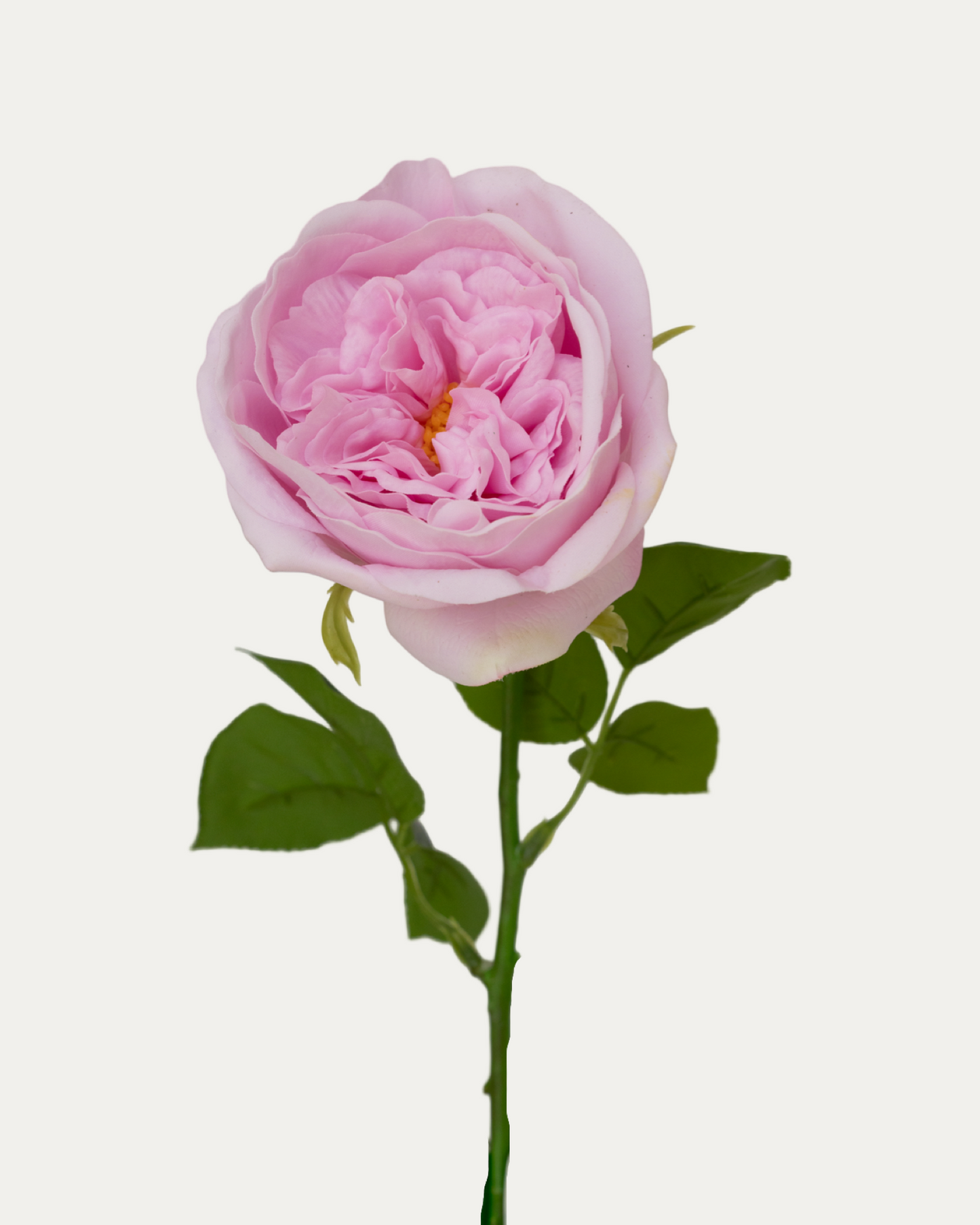 Carey Garden Rose -Artificial Real Touch