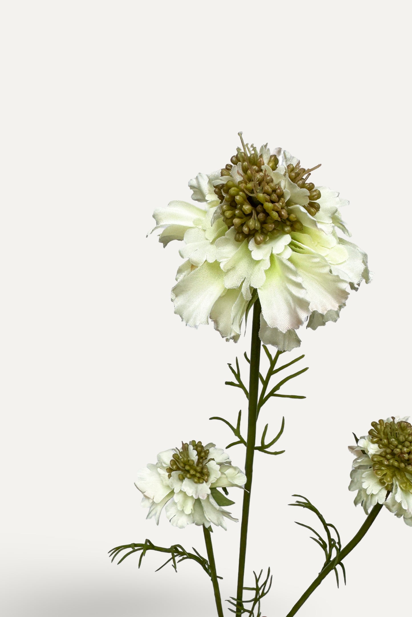 White Scabiosa – Artificial Silk