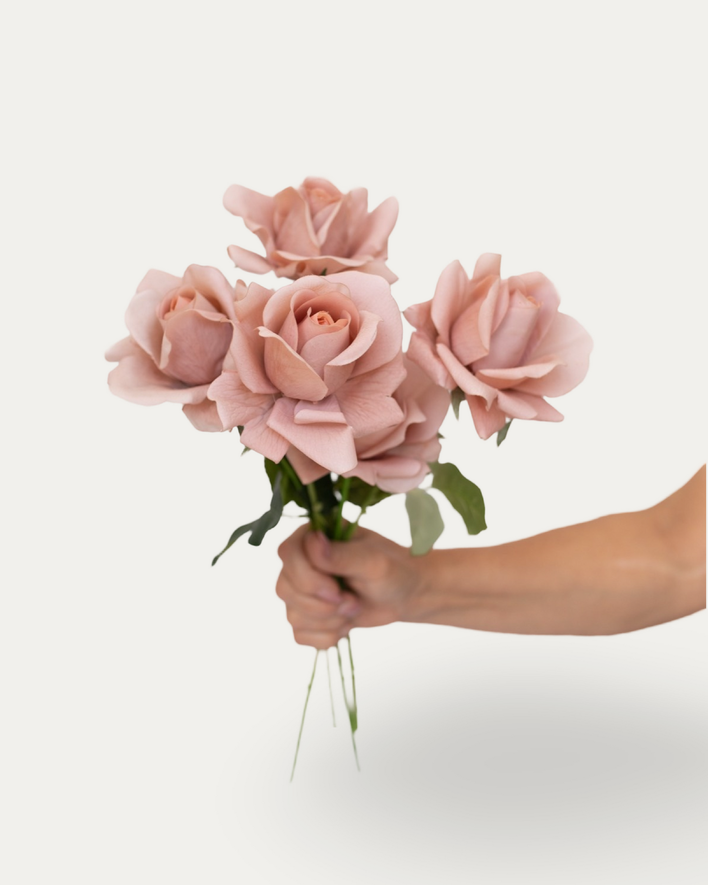 Cappuccino Rose -Artificial Real Touch