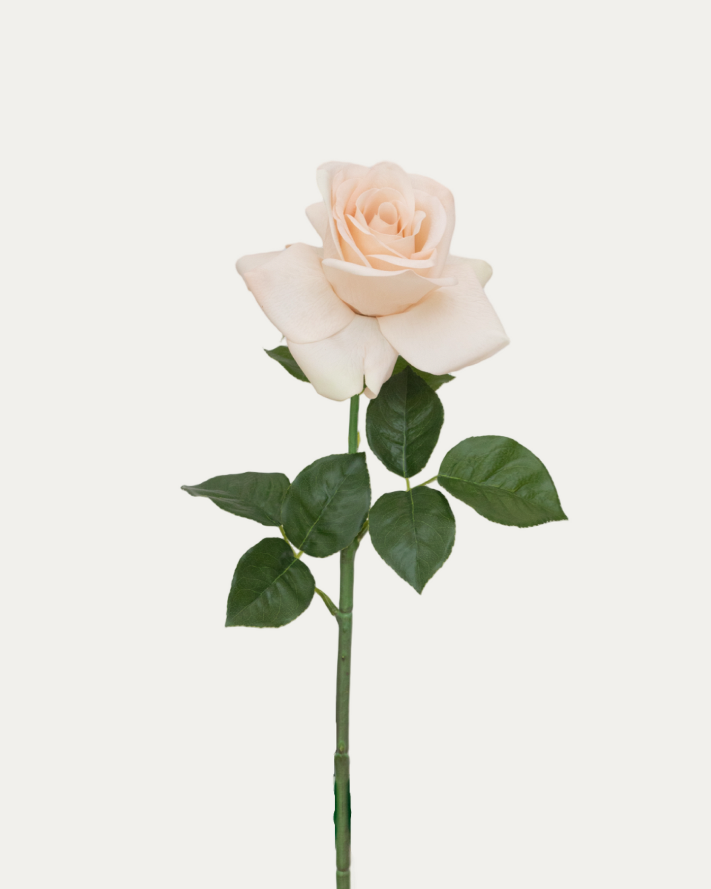 Sahara Rose -Artificial Real Touch