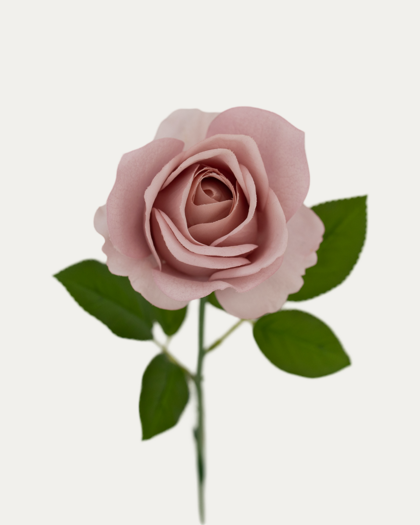 Amnesia Rose -Artificial Real Touch