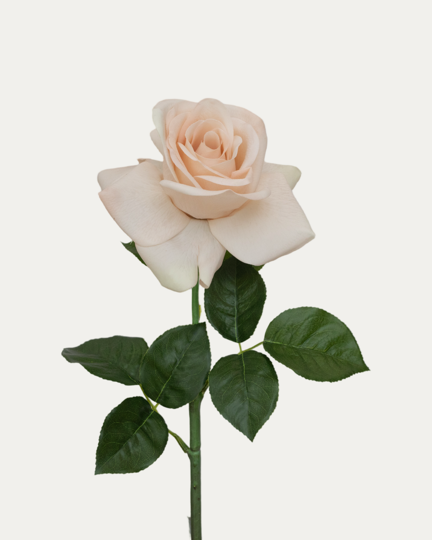 Sahara Rose -Artificial Real Touch