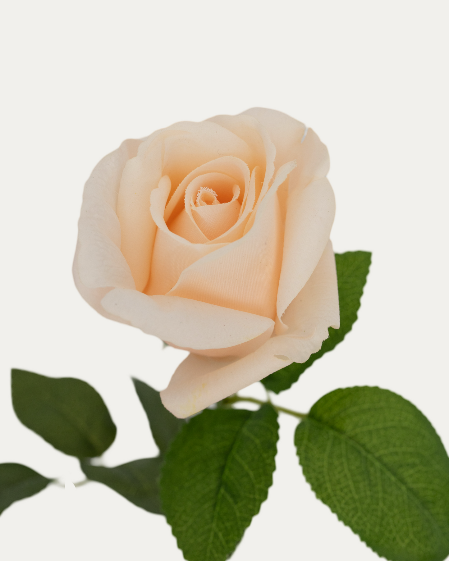 James Peach Sweetheart Rose -Artificial Real Touch
