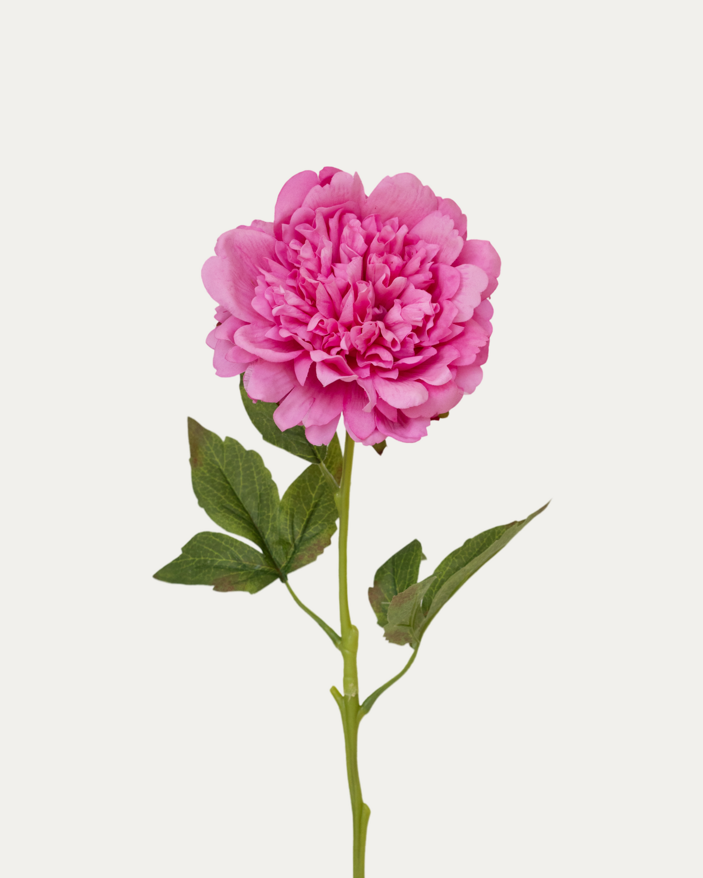Emma Klehm Peony-Artificial Real Touch Flower