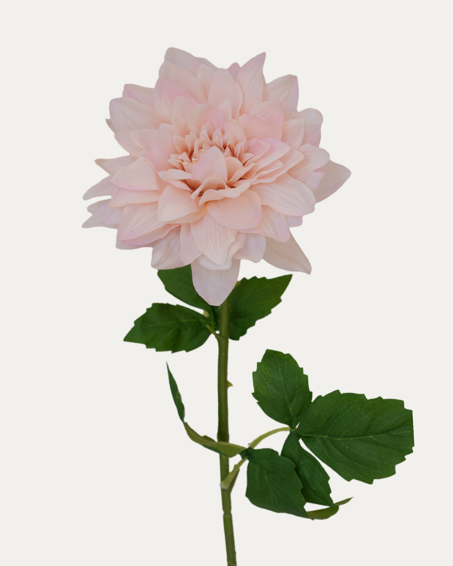 Cafe au Lait Dahlia-Artificial Real Touch Flower