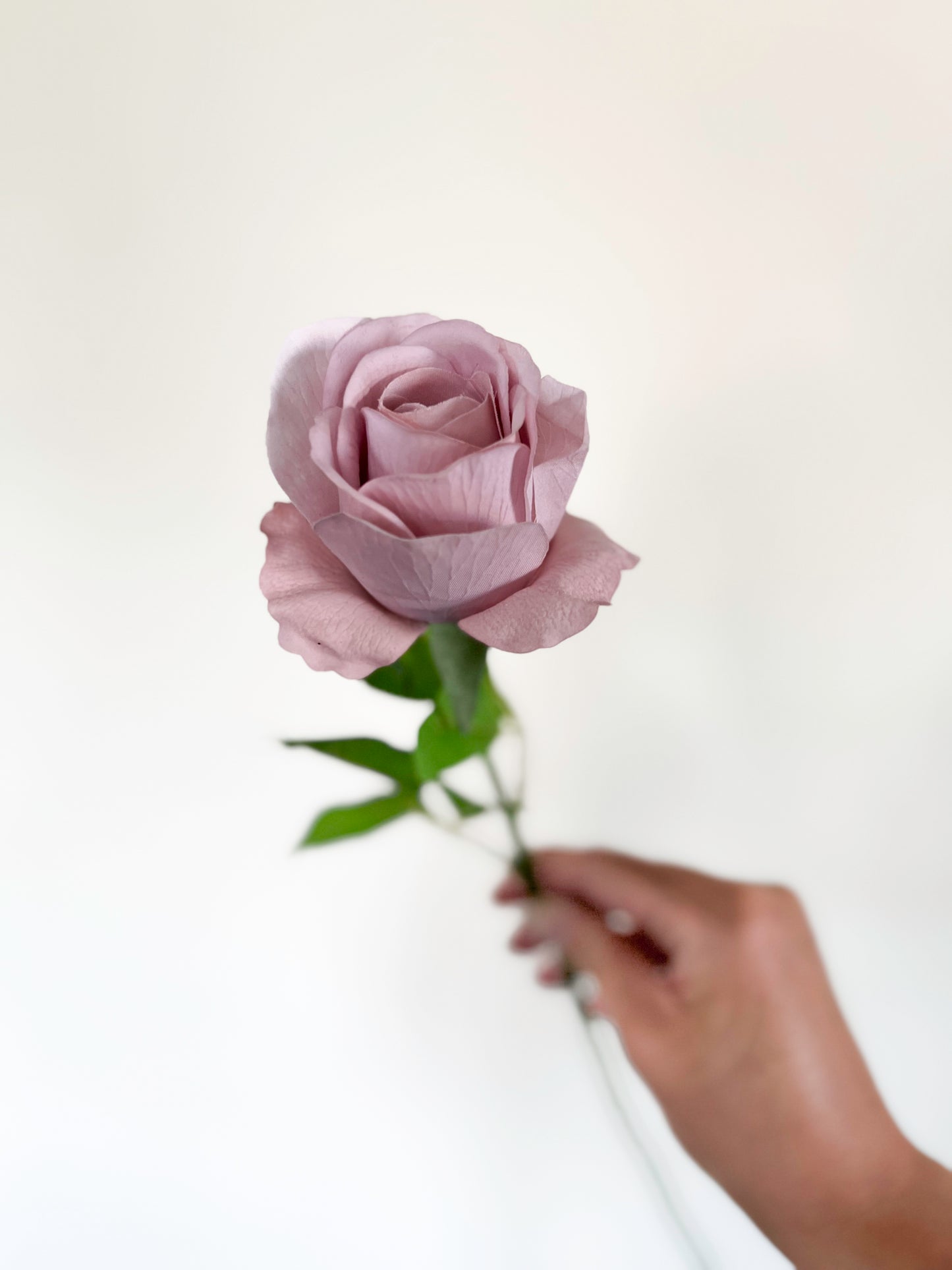 Amnesia Rose -Artificial Real Touch