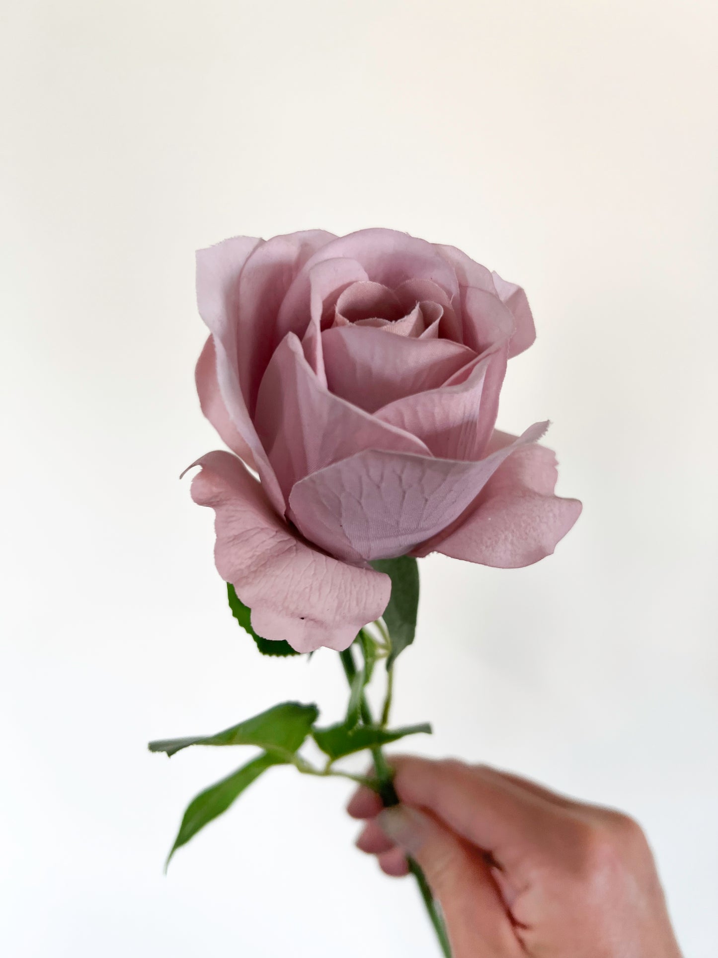 Amnesia Rose -Artificial Real Touch