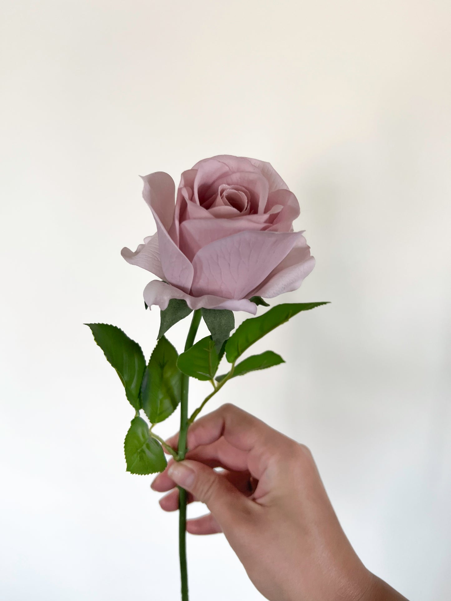 Amnesia Rose -Artificial Real Touch