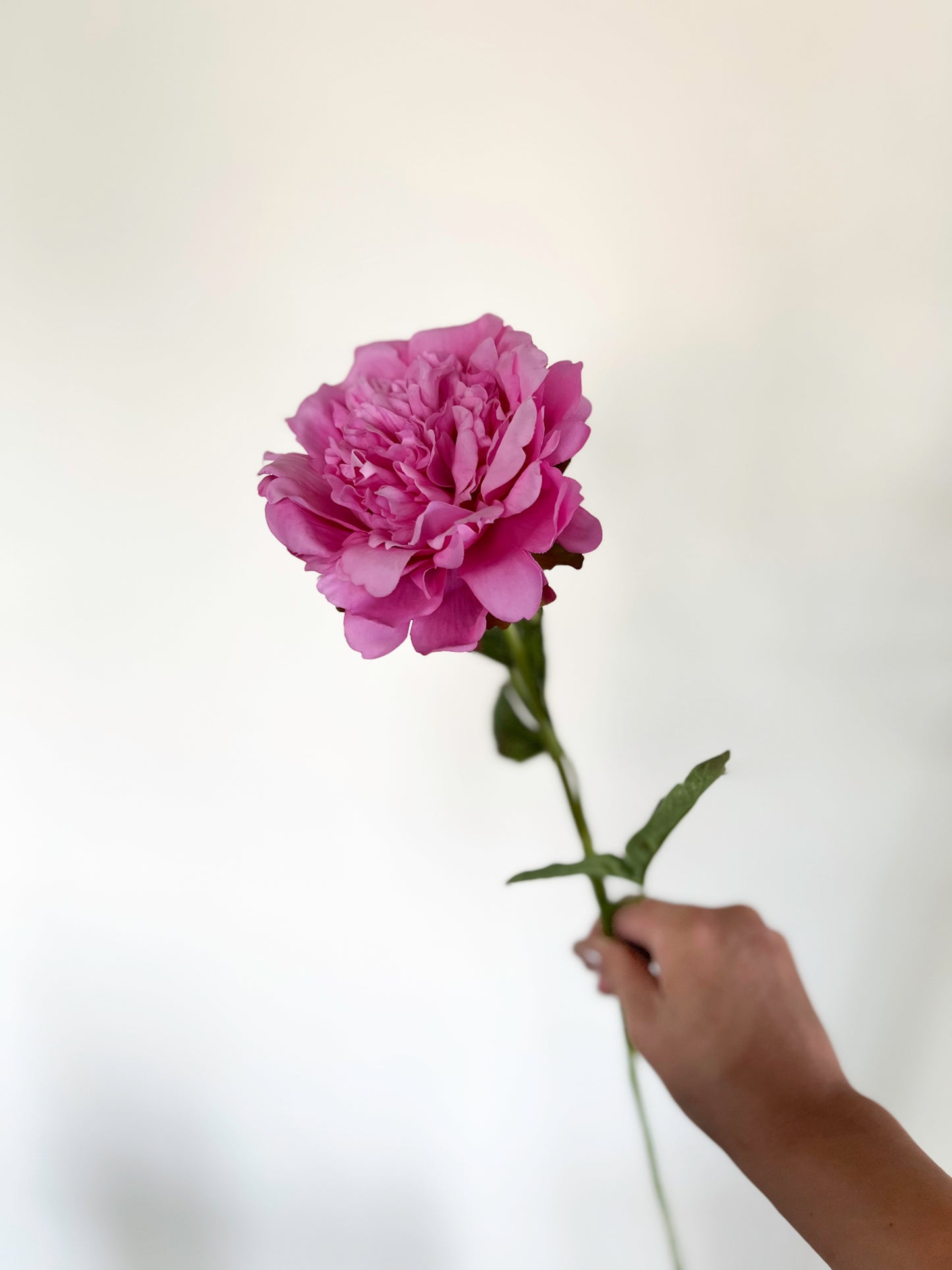 Emma Klehm Peony-Artificial Real Touch Flower