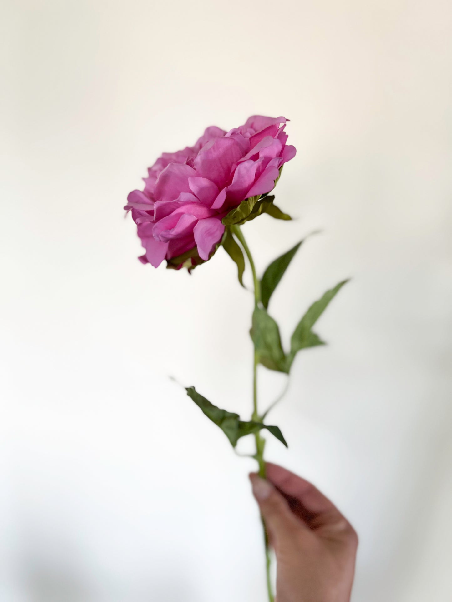 Emma Klehm Peony-Artificial Real Touch Flower