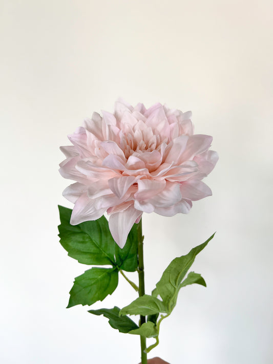 Cafe au Lait Dahlia-Artificial Real Touch Flower