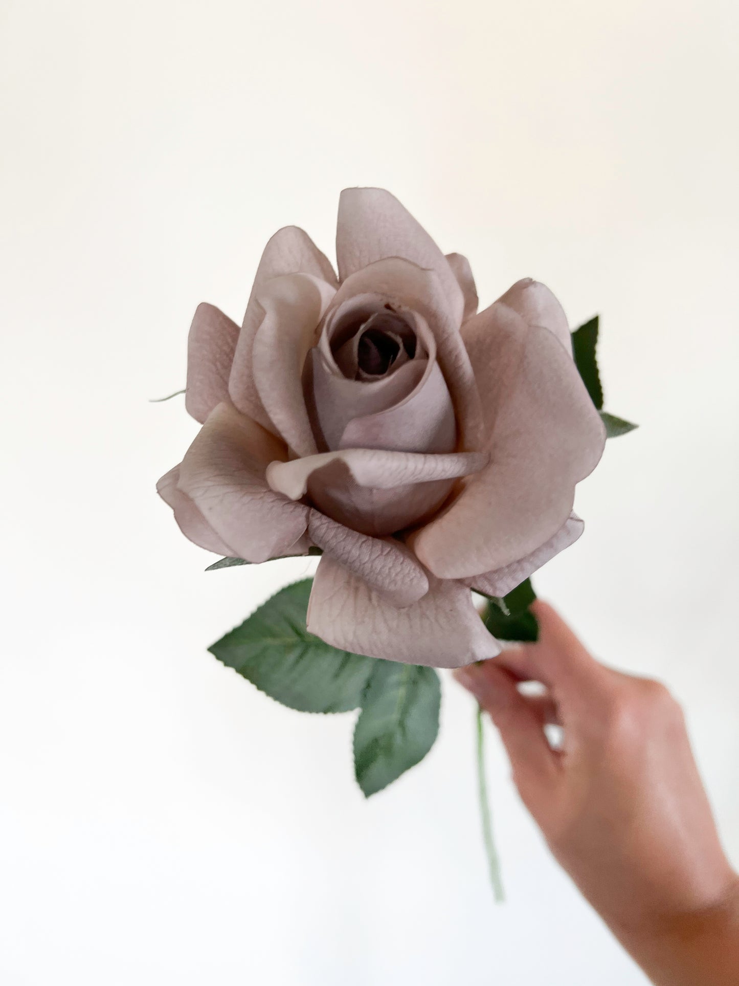 Mocca Rose -Artificial Real Touch