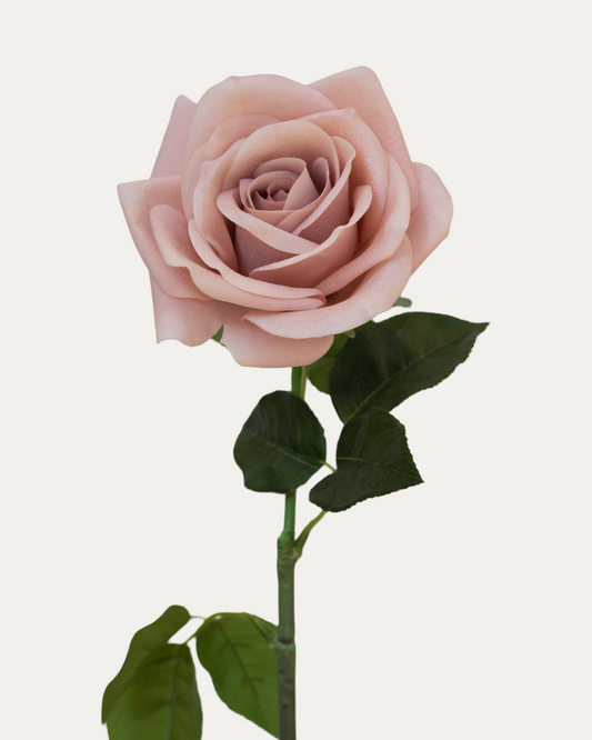 Quicksand Rose Real Touch