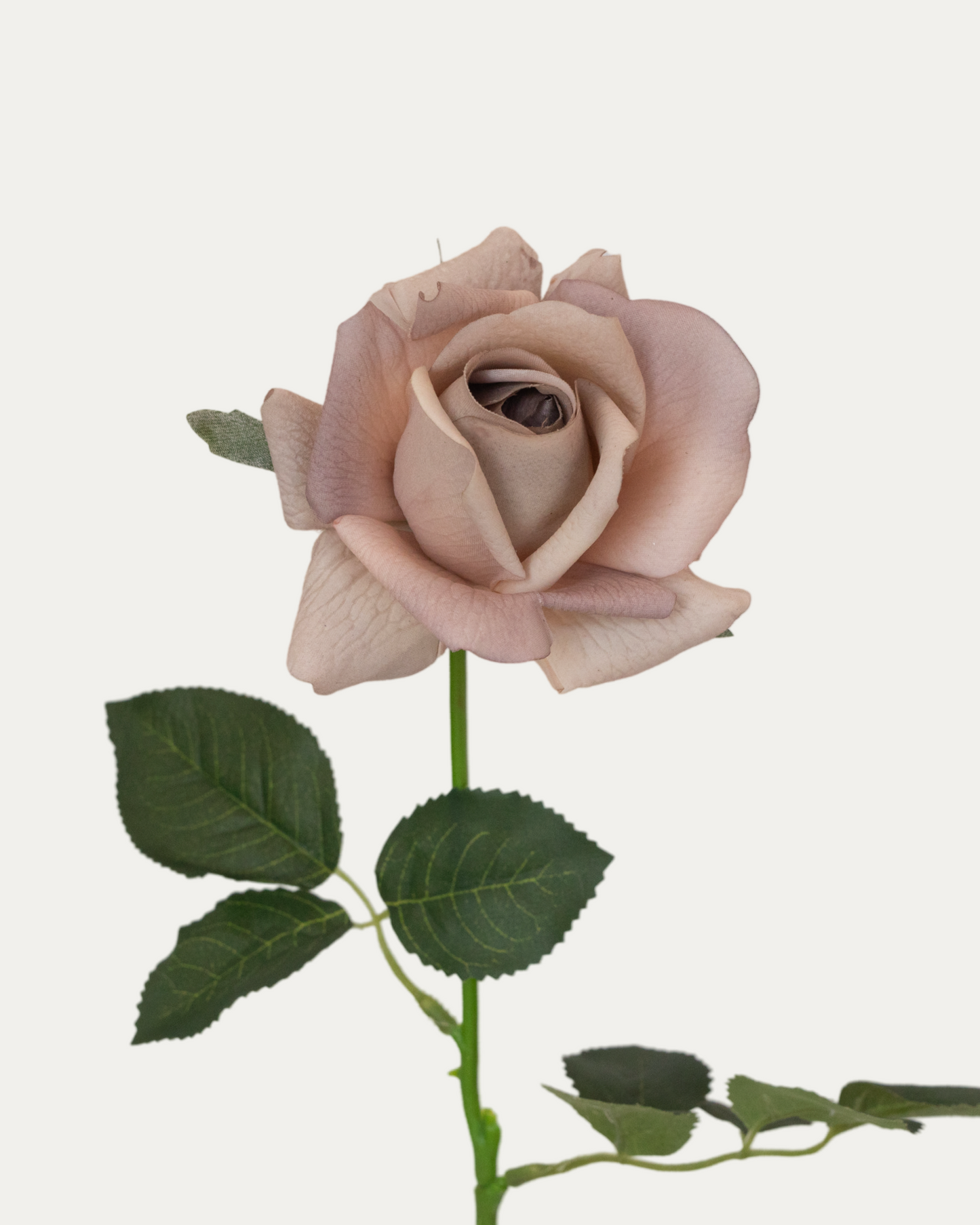 Mocca Rose -Artificial Real Touch