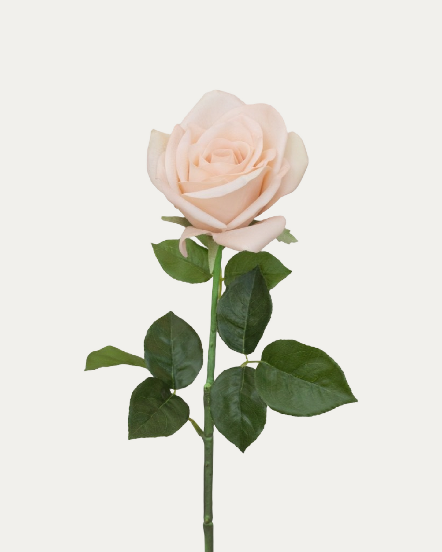 Sahara Rose -Artificial Real Touch