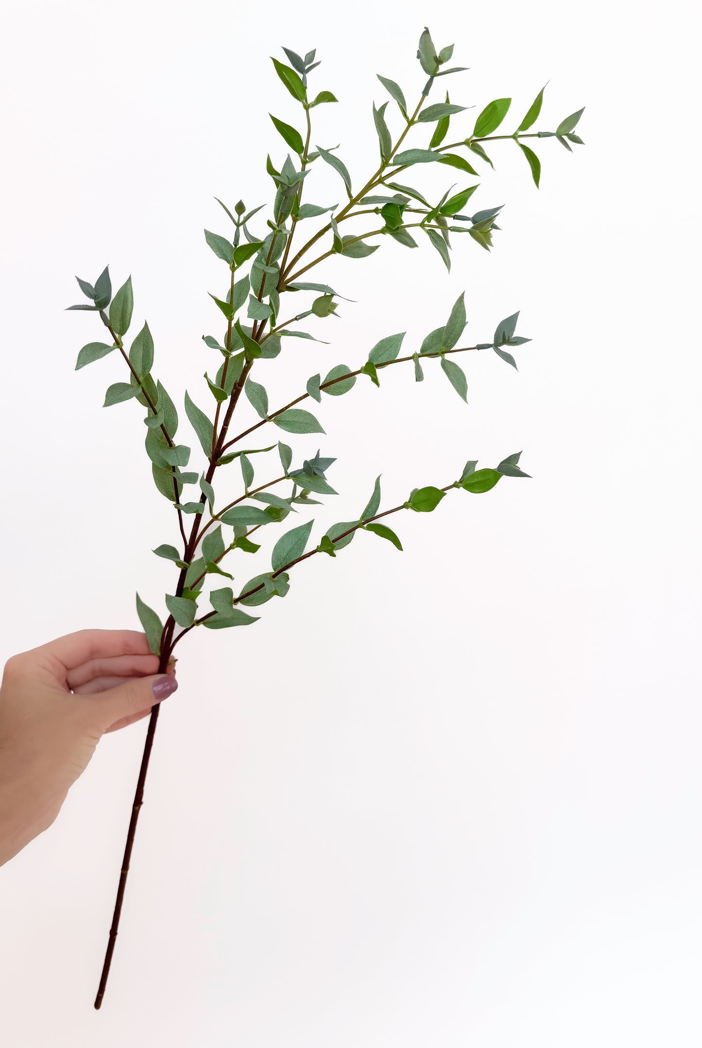 Eucalyptus Gunni -Artificial Real Touch