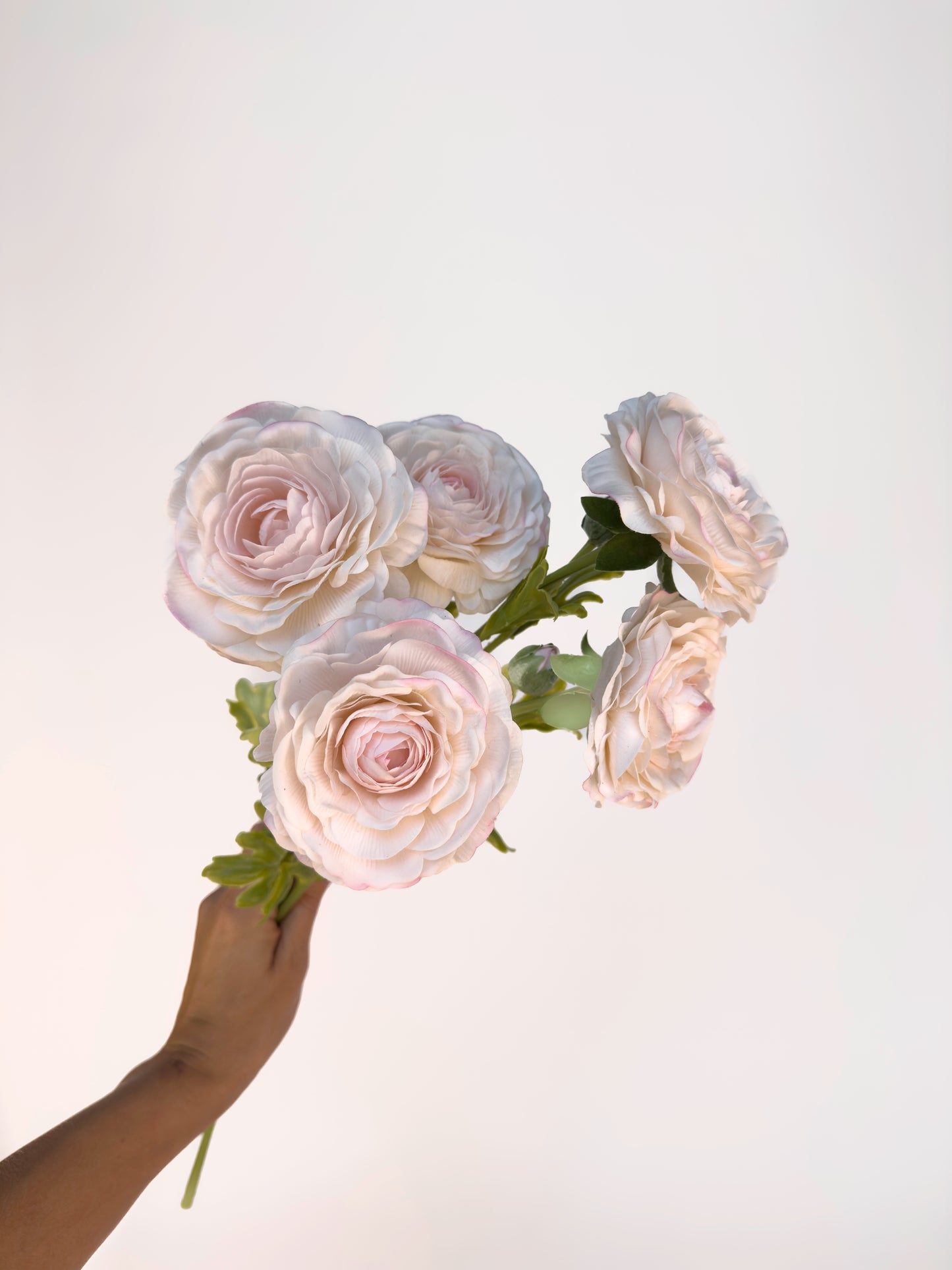 Blush Italian Cloony Ranunculus -Artificial Real Touch