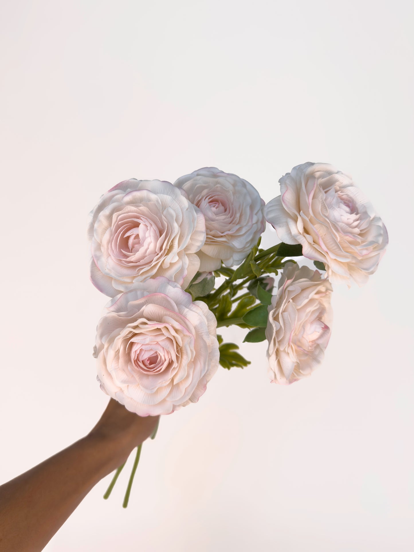 Blush Italian Cloony Ranunculus -Artificial Real Touch