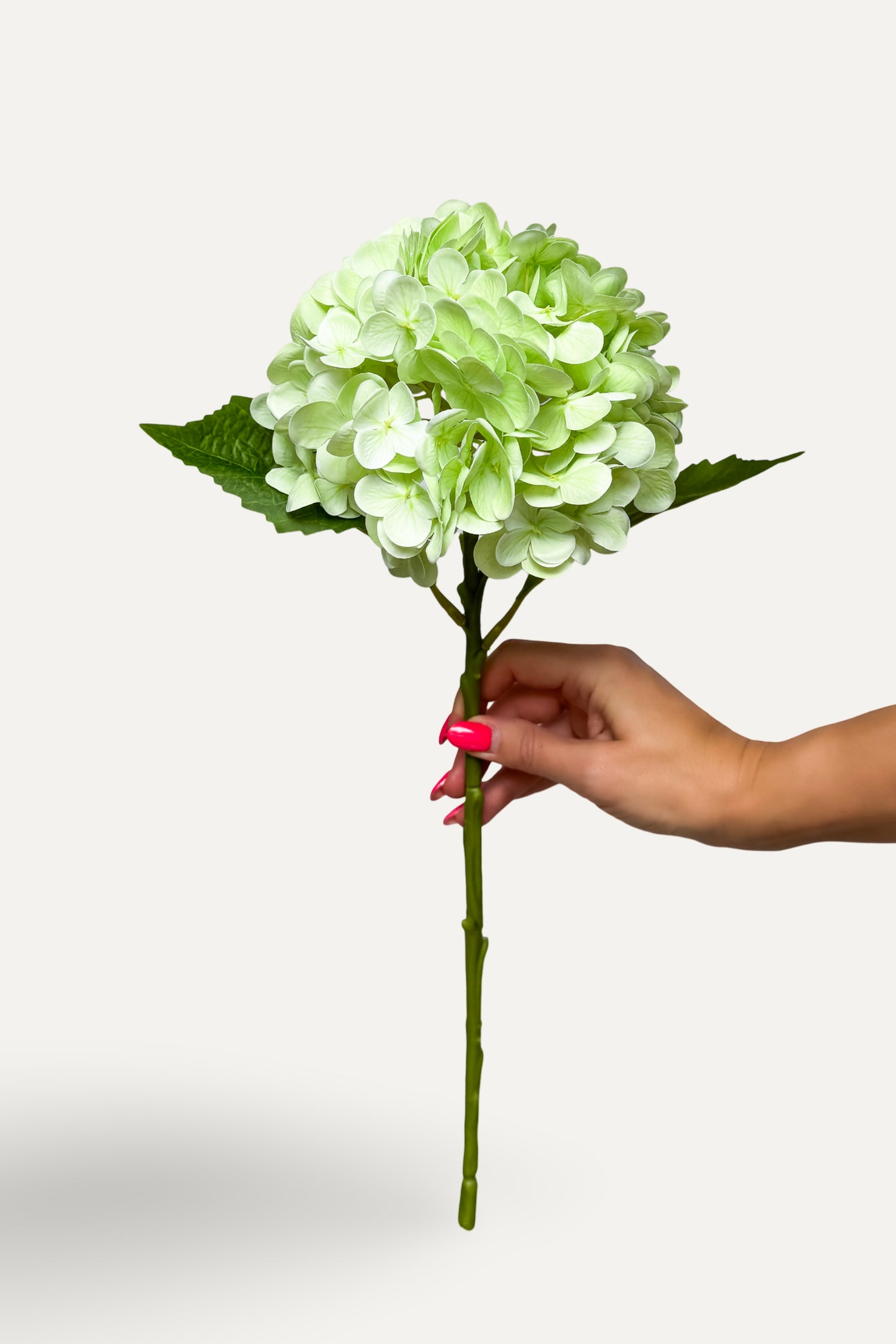 Green Hydrangea -Artificial Real Touch