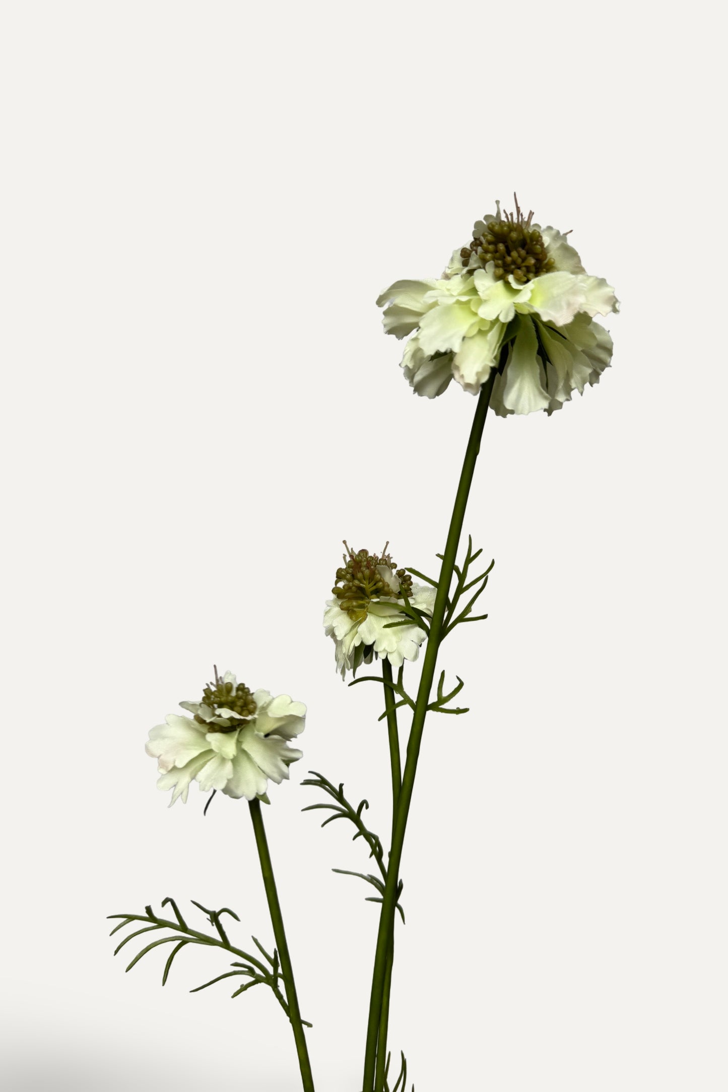 White Scabiosa – Artificial Silk