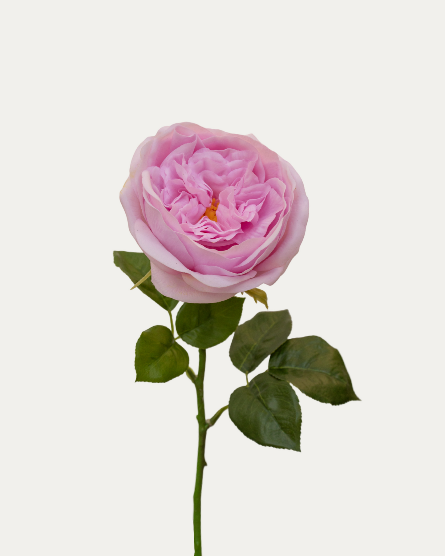 Carey Garden Rose -Artificial Real Touch