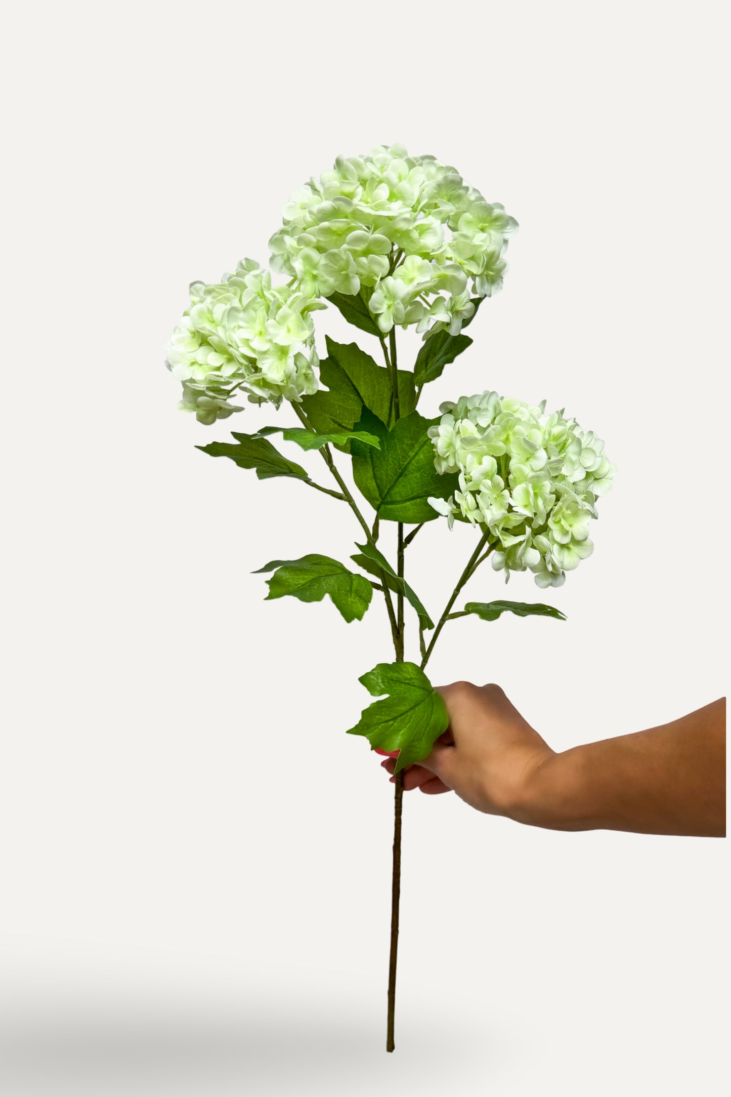 Light Green Snowball Hydrangea -Artificial Real Touch