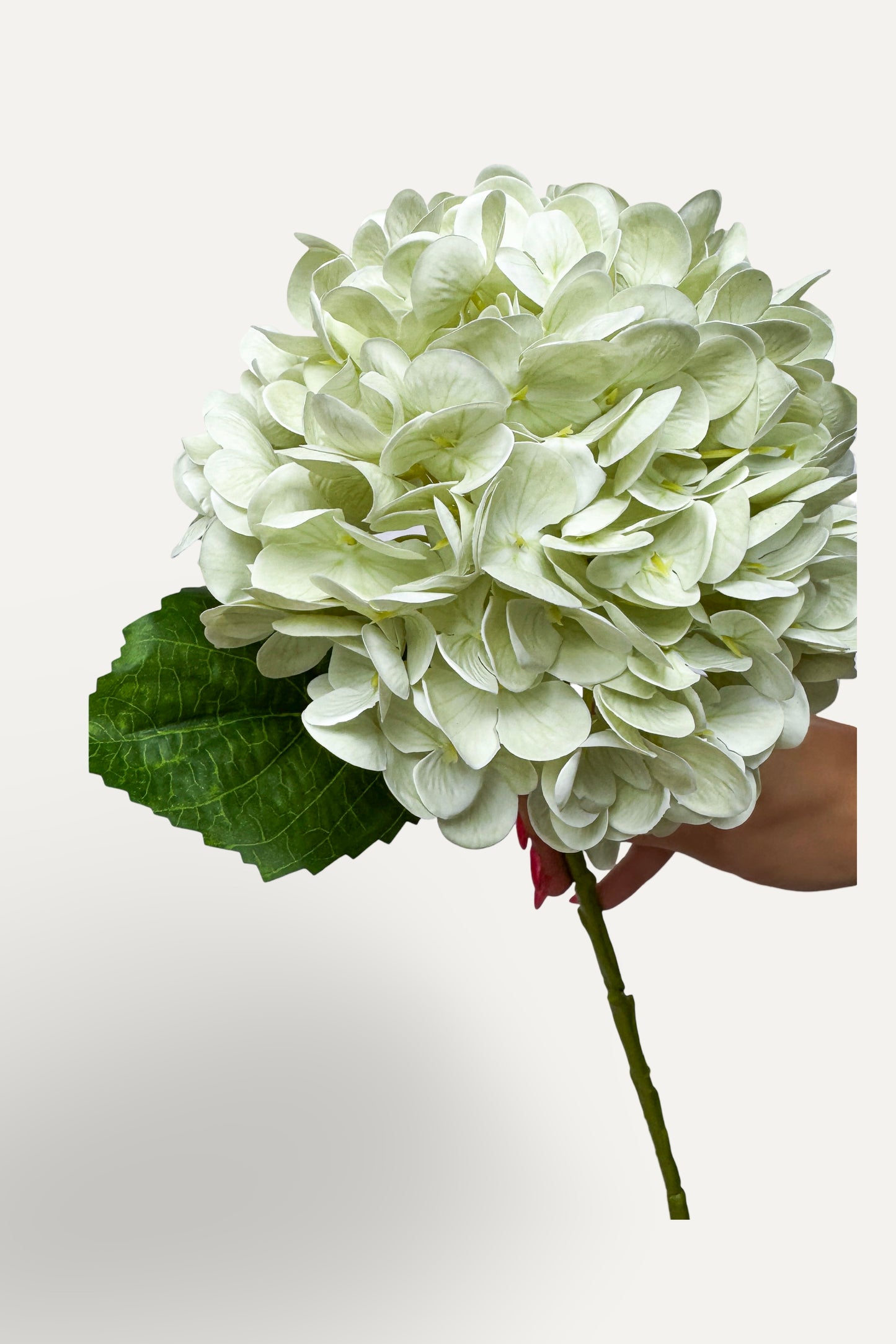 Light Green Hydrangea -Artificial Real Touch