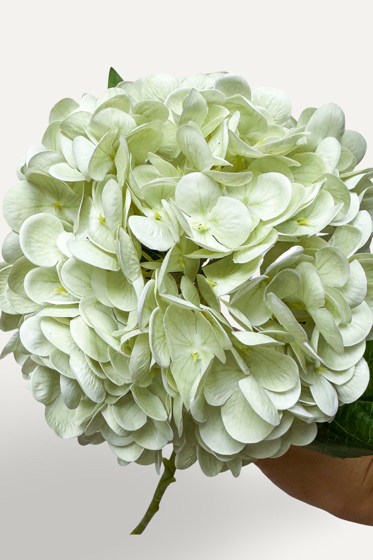 Light Green Hydrangea -Artificial Real Touch