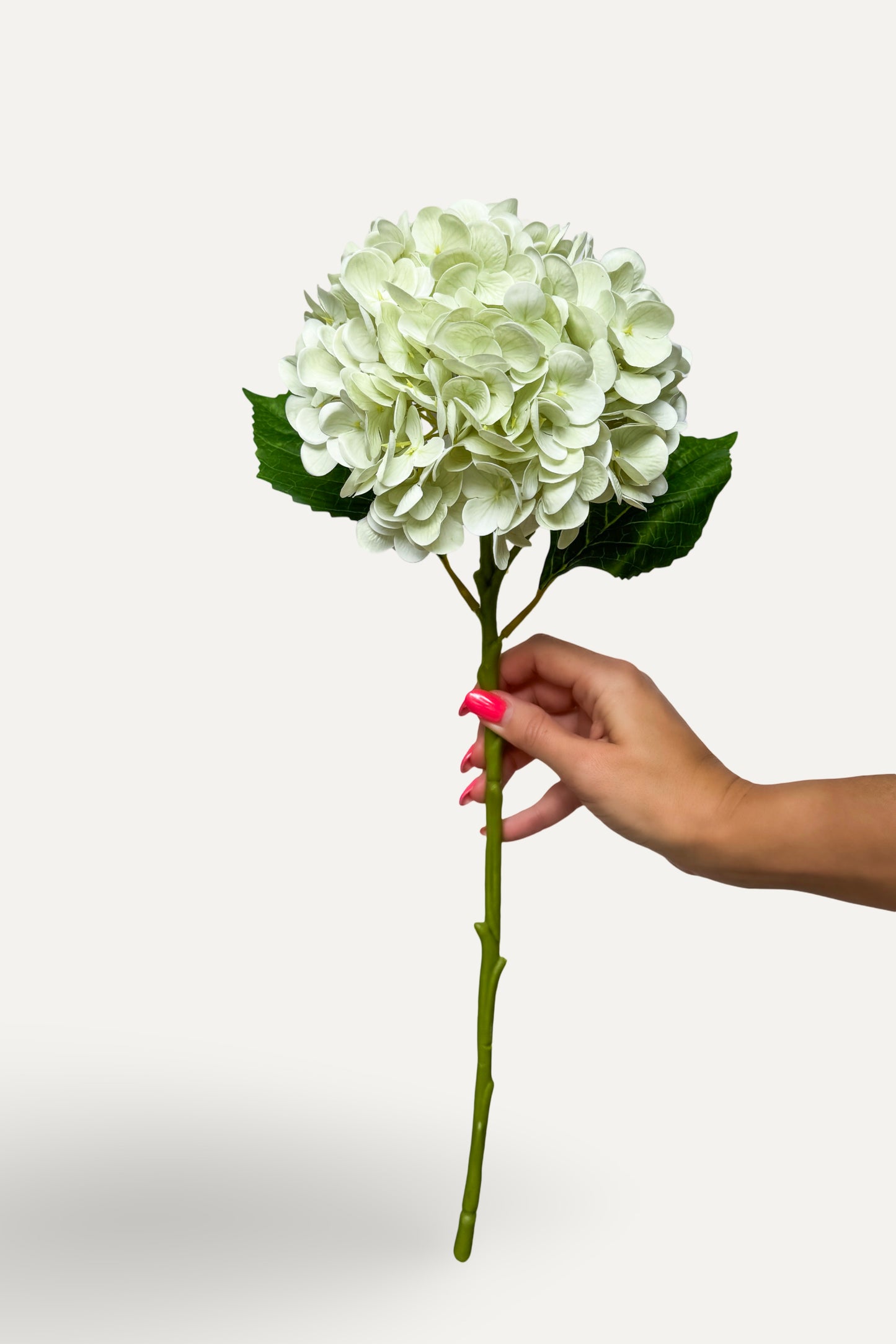 Light Green Hydrangea -Artificial Real Touch