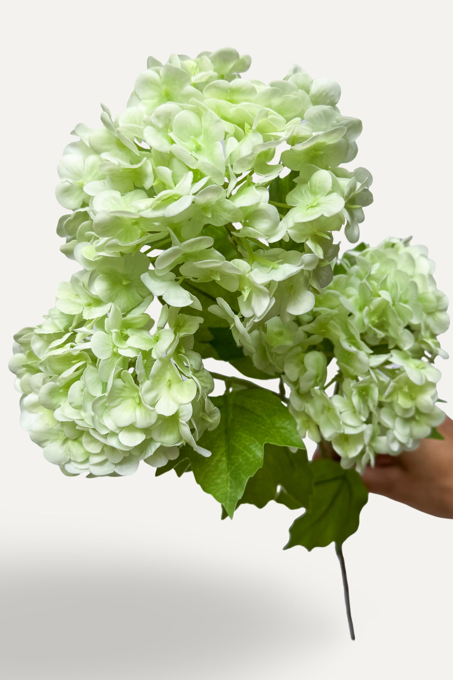 Light Green Snowball Hydrangea -Artificial Real Touch