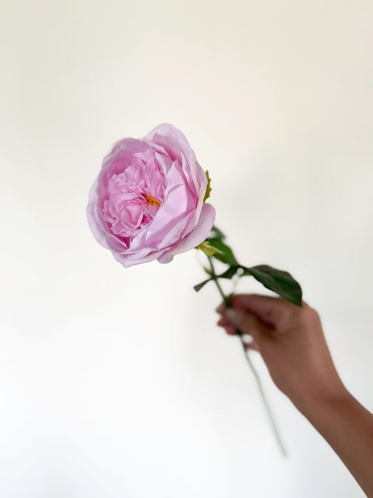Carey Garden Rose -Artificial Real Touch