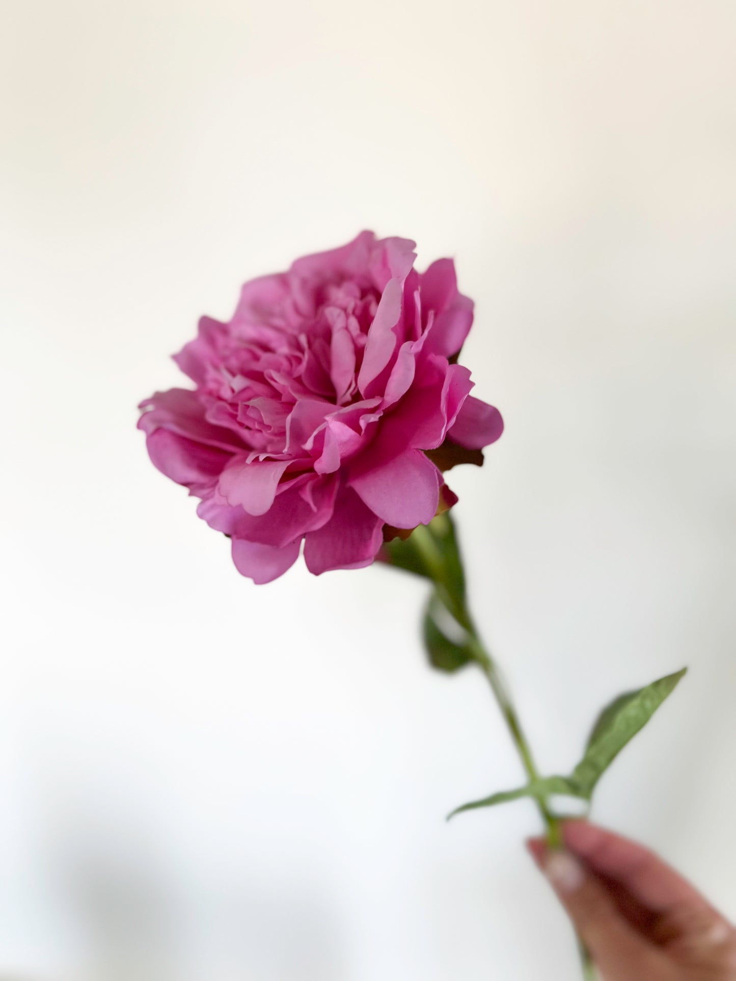Emma Klehm Peony-Artificial Real Touch Flower