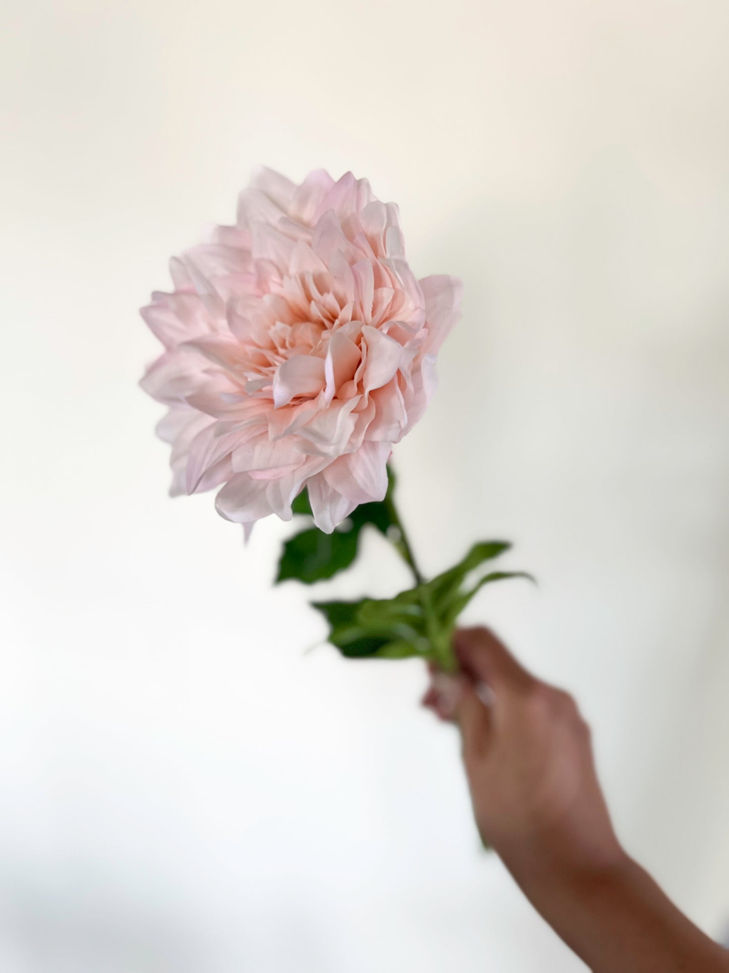 Cafe au Lait Dahlia-Artificial Real Touch Flower