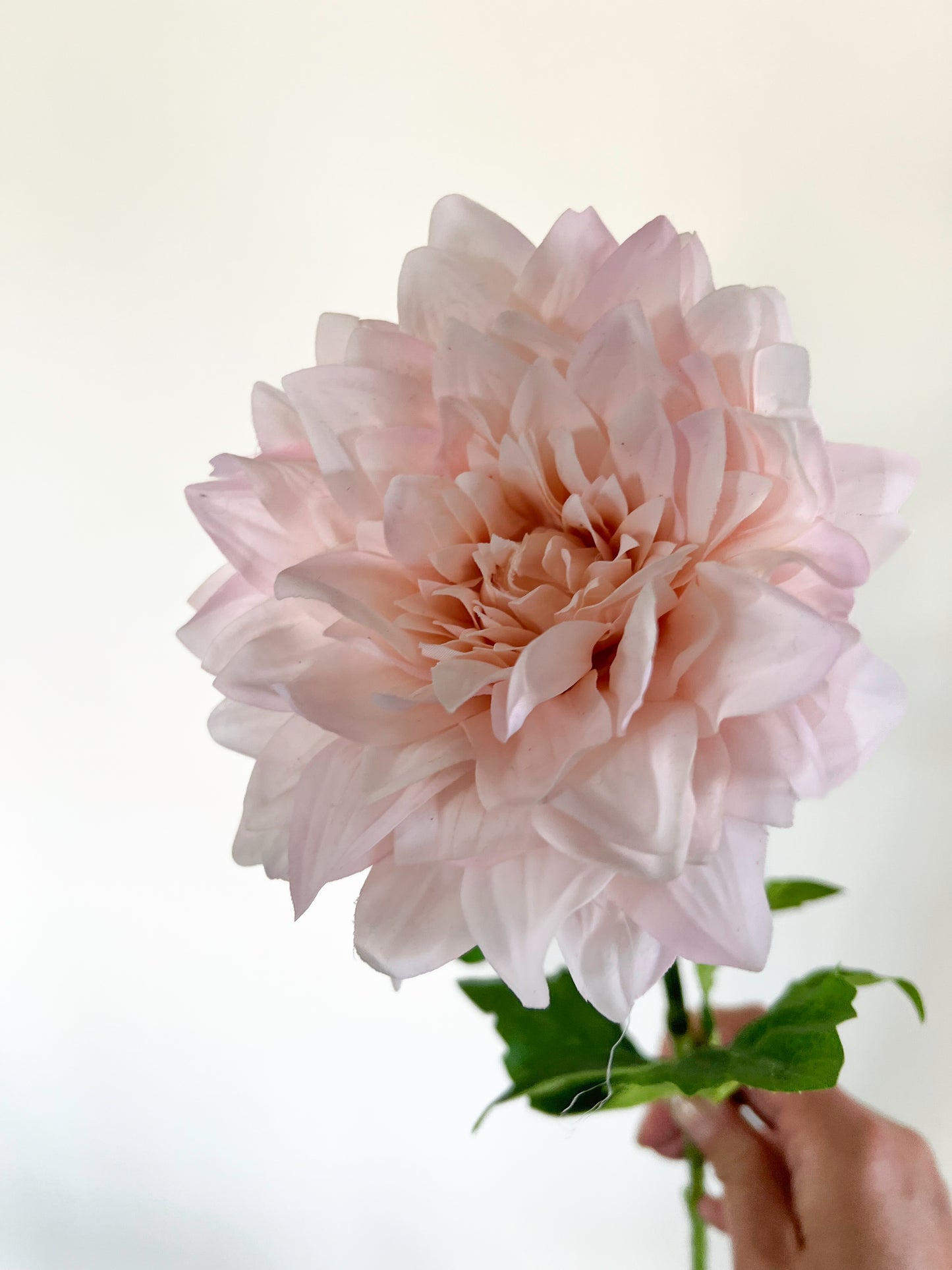 Cafe au Lait Dahlia-Artificial Real Touch Flower