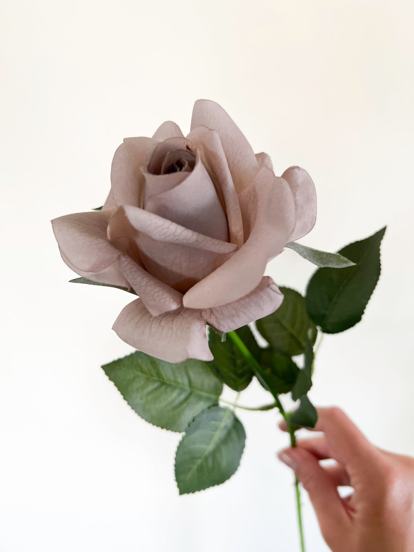 Mocca Rose -Artificial Real Touch
