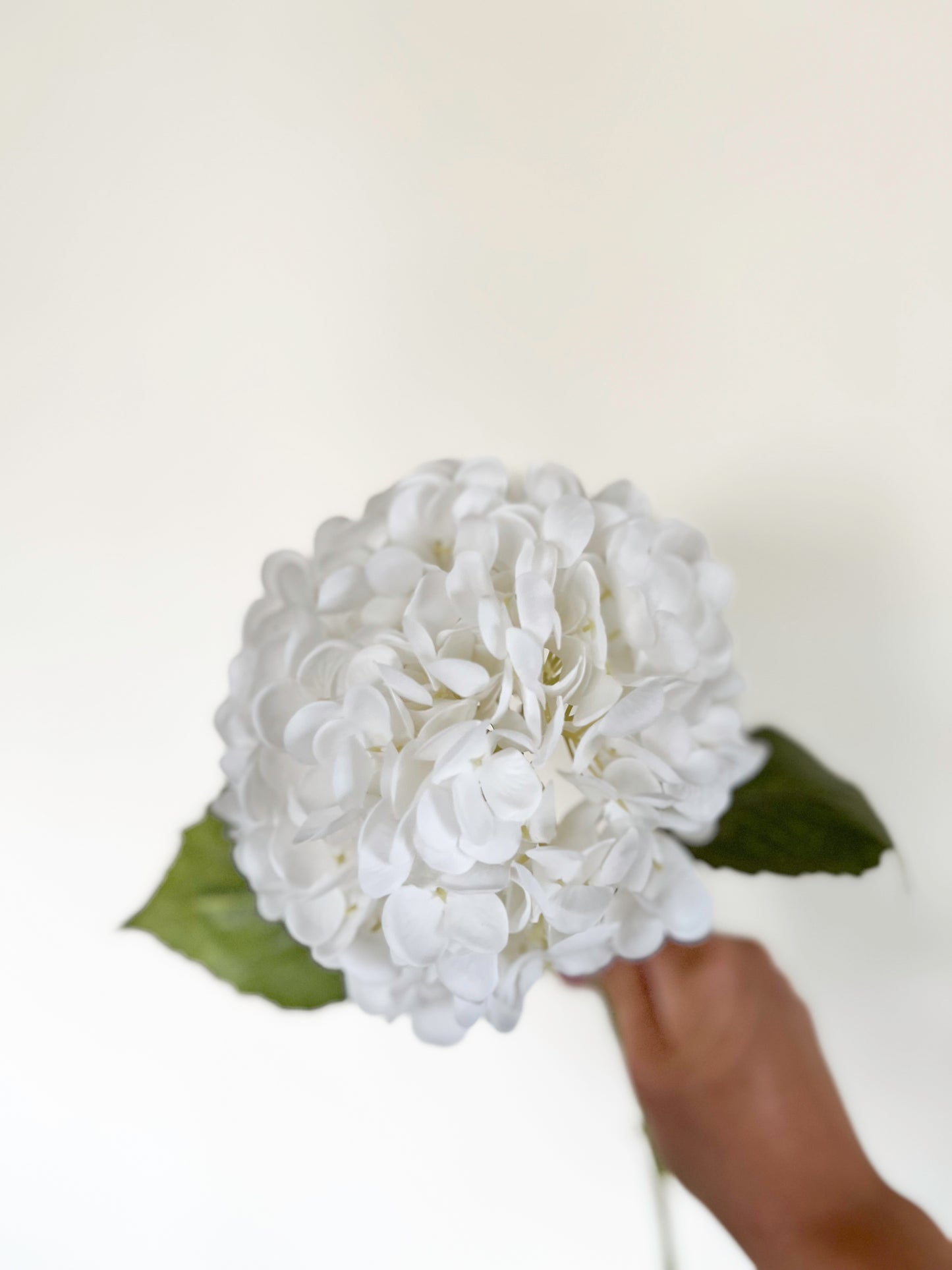 White Hydrangea -Artificial Real Touch