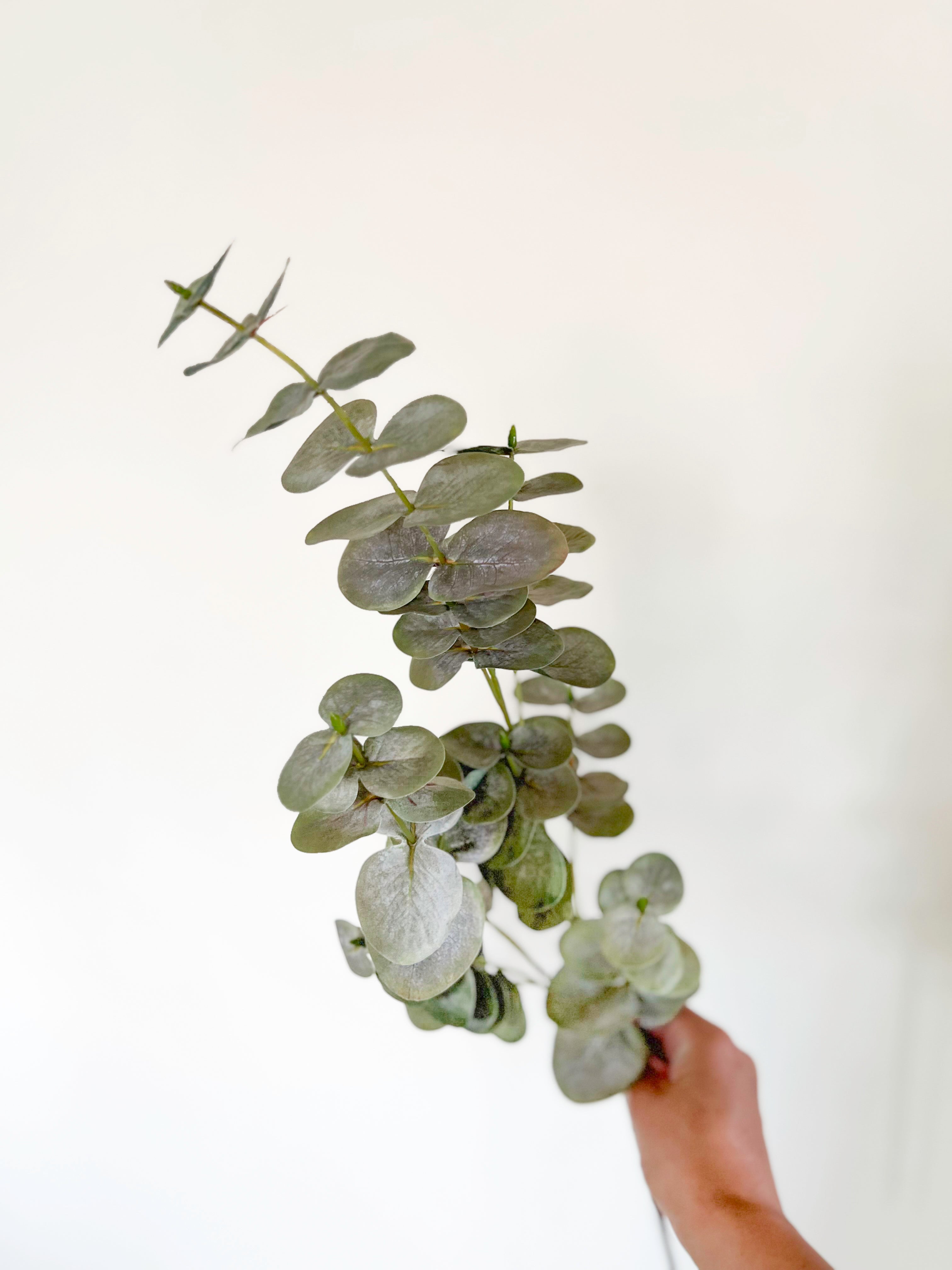 Eucalyptus -Artificial Real Touch – Better Blooms