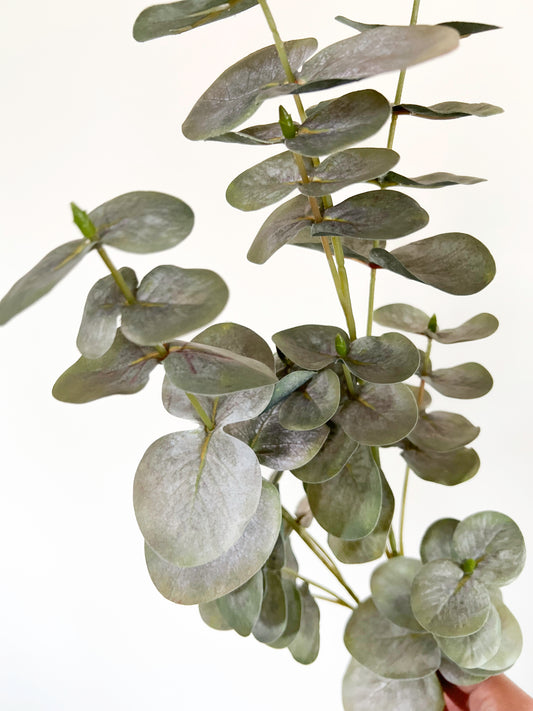 Eucalyptus -Artificial Real Touch