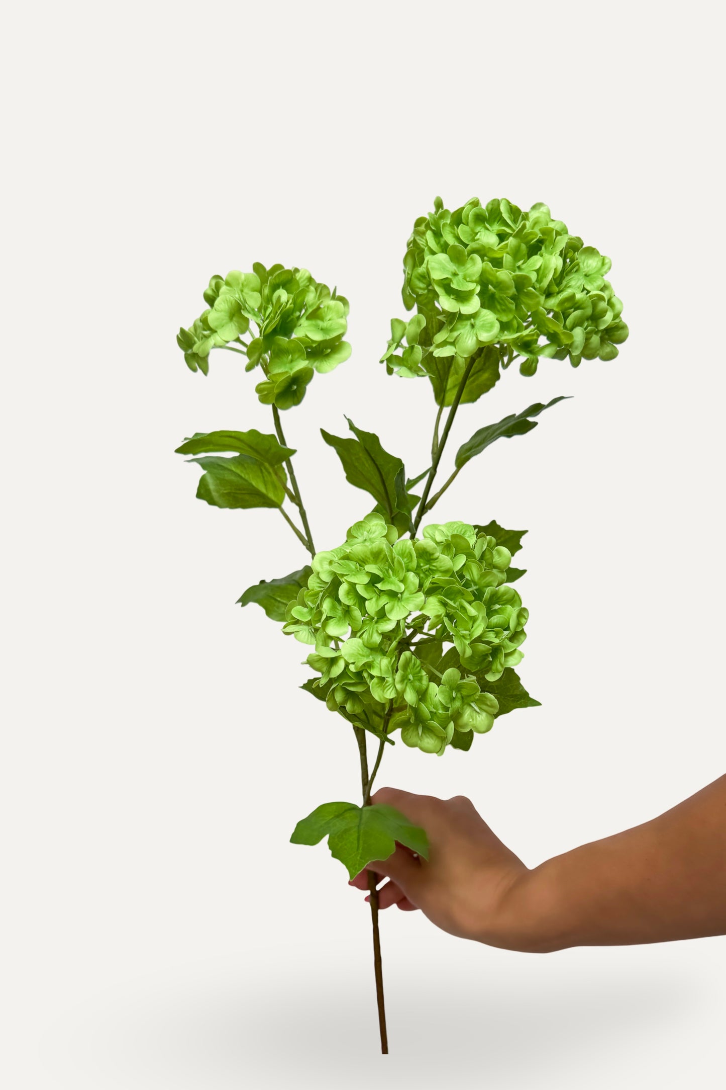 Green Snowball Hydrangea -Artificial Real Touch