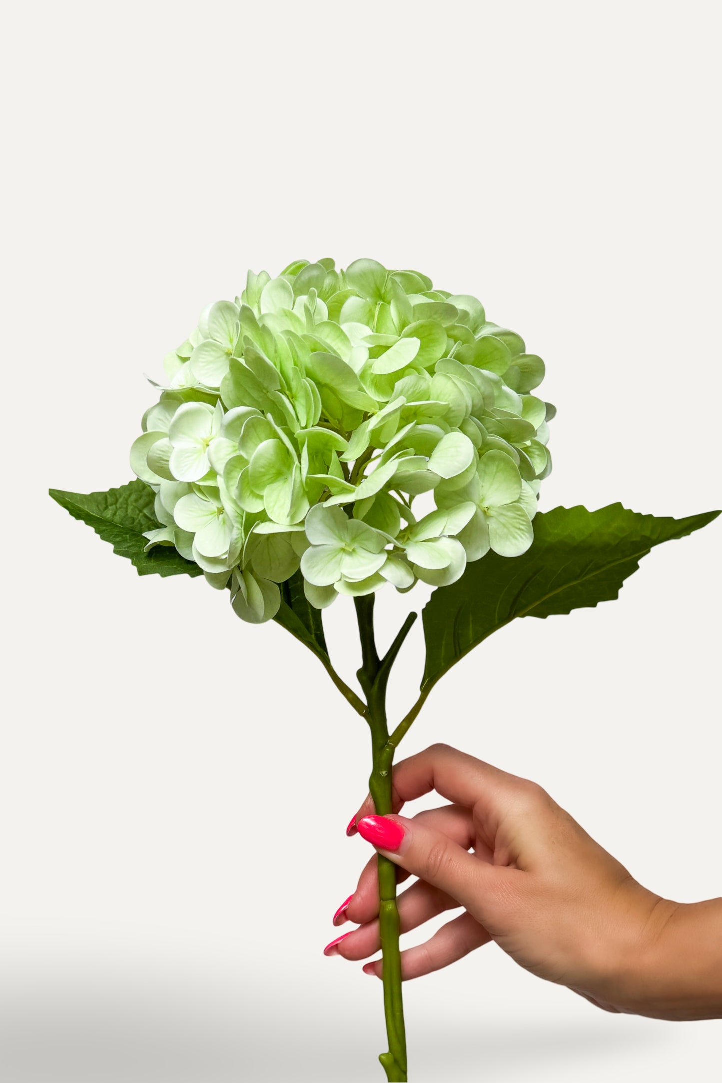 Green Hydrangea -Artificial Real Touch