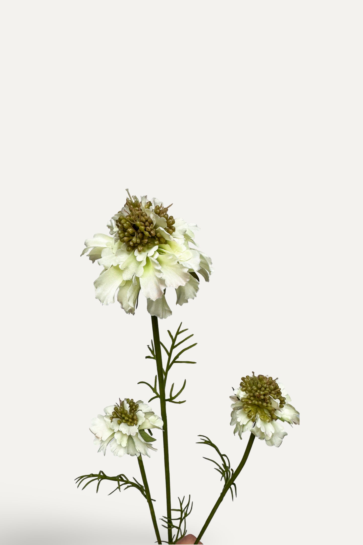 White Scabiosa – Artificial Silk