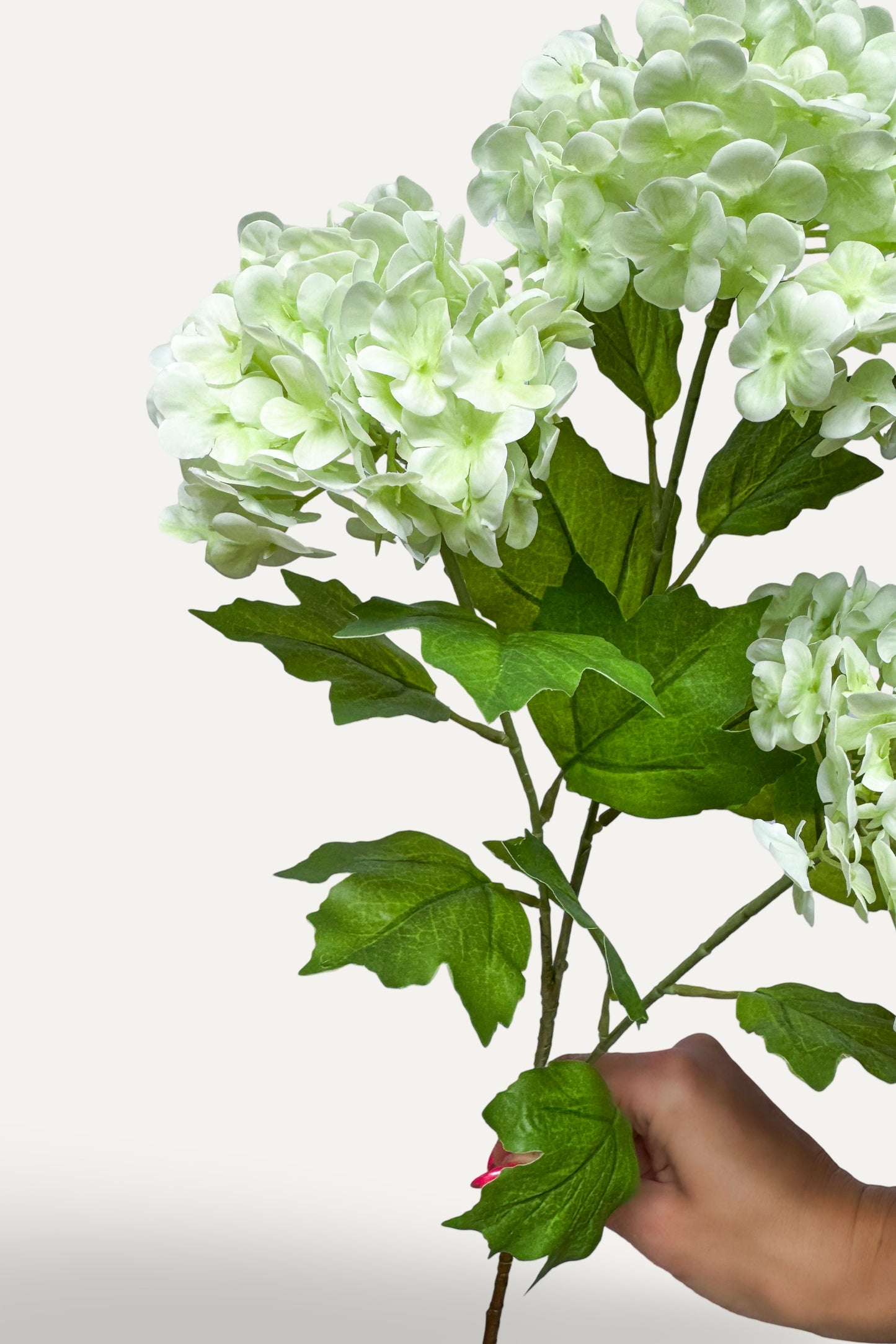 Light Green Snowball Hydrangea -Artificial Real Touch