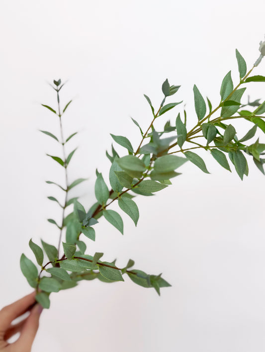 Eucalyptus Gunni -Artificial Real Touch