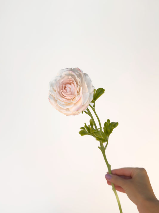 Blush Italian Cloony Ranunculus -Artificial Real Touch